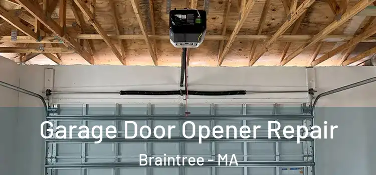  Garage Door Opener Repair Braintree - MA