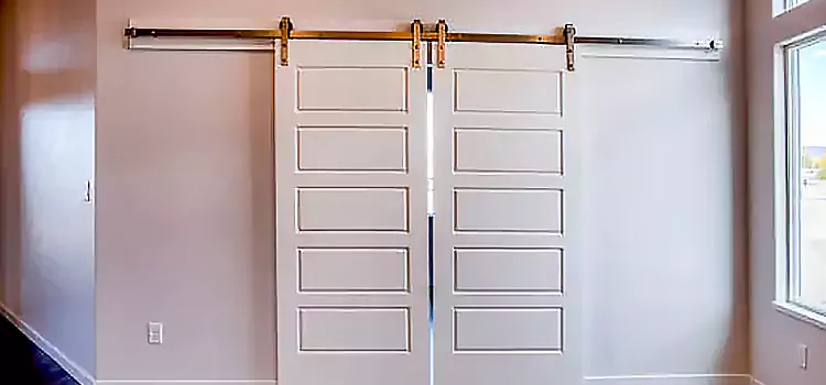 Glass Barn Door with Installation Hardware Kit Braintree